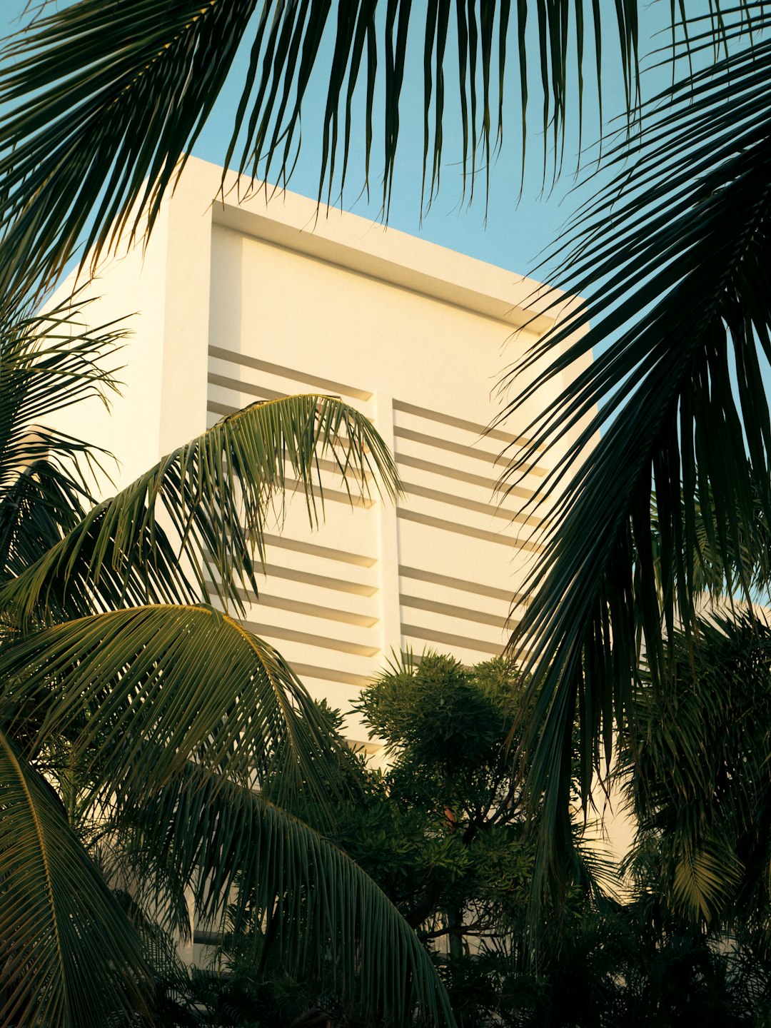 Glimmer Nova Hotel Exterior