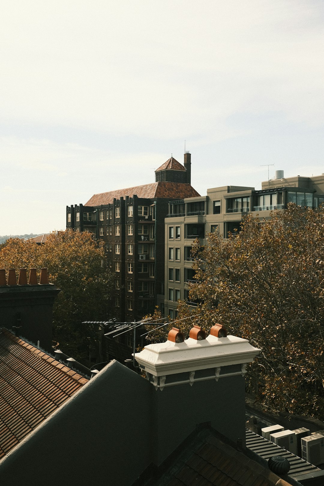 Rooftop Lounge